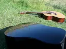 guitars on the grass