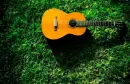 guitar on the grass