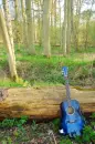 mac guitar