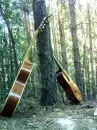two guitars