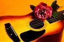 yellow guitar