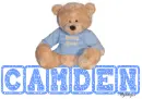 Baby Boy Bear - Camden
