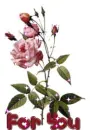 rose for you 