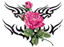 my rose