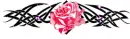my rose