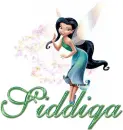 Siddiqa