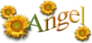 Name Angel