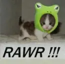 Cute Rawr!