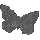 grey butterfly