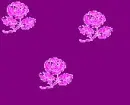 rose background