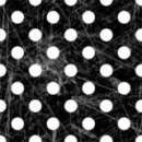 polka dots