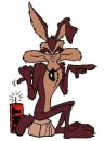 willie Coyote