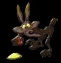 willie Coyote