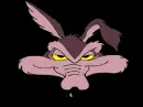 wile Coyote