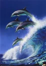 dolphins