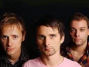 muse