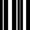 Flashing Bars