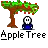 apple tree