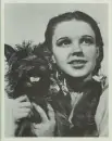 The Wizard of Oz