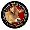 Jersey Cow