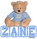 Baby Boy Bear - Zane