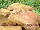 What dies is never forgotten. 