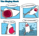 I'M A SHARK!!