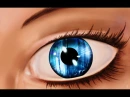Visionary Dreams