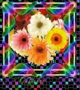 gliter