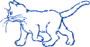 gatto
