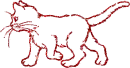 gatto