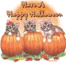 Have A Happy Halloween