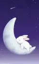 sleep rabbit