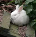 nap