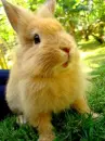 so cute