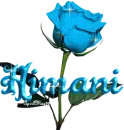 bably blue rose himani
