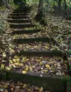 steps