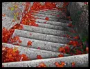 steps