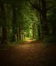 way