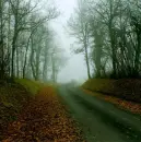 way