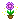 Tiny Flower