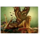 Fairy