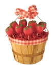 APPLES IN A BASKET