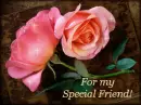 special friend