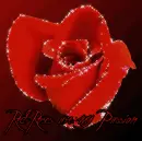 red roses
