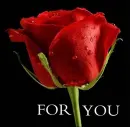 for u