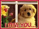 miss u