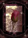 good night