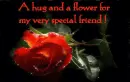 hugs