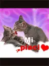 Mi Piaci...